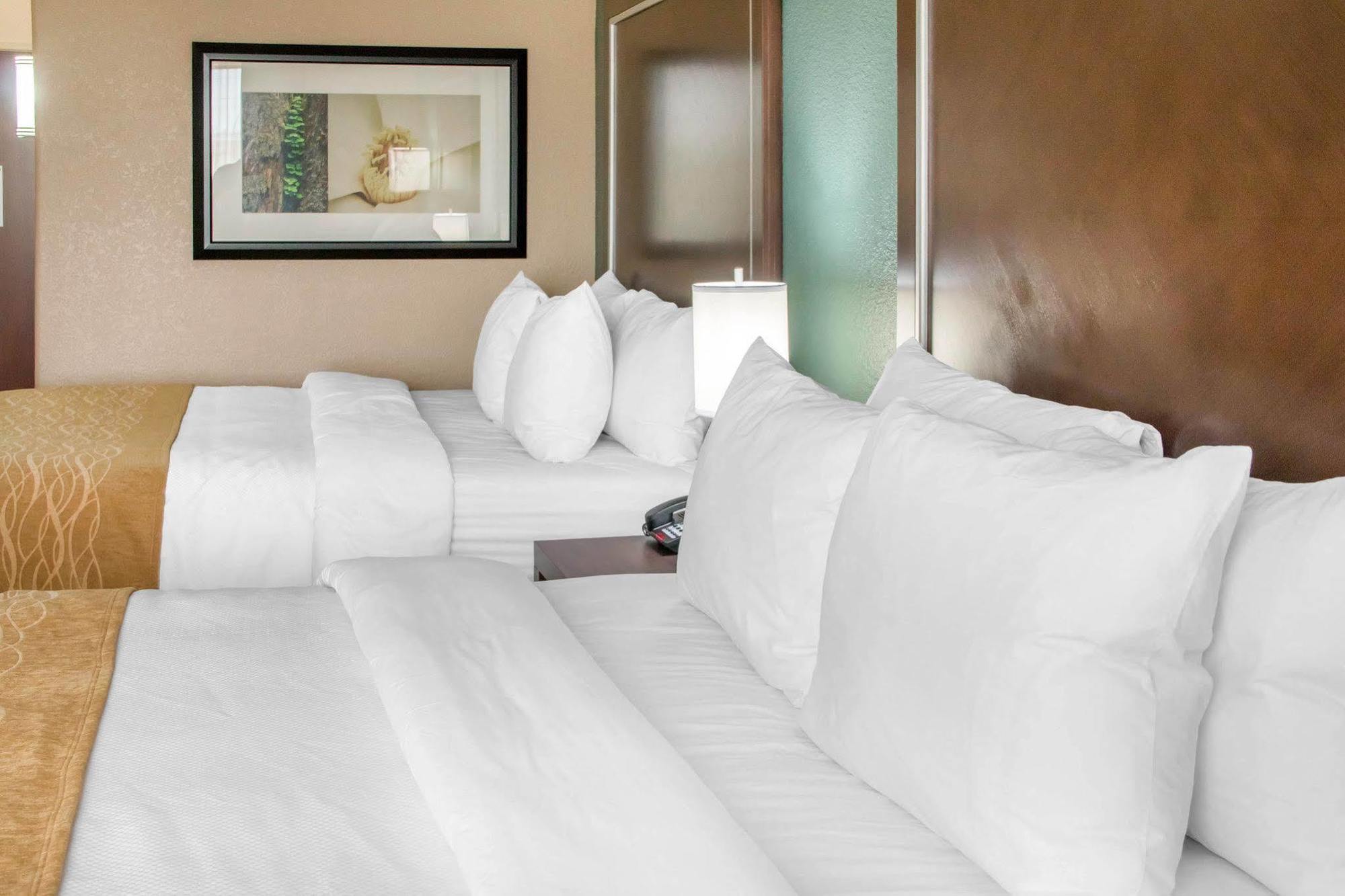Comfort Inn & Suites Сан Маркос Экстерьер фото